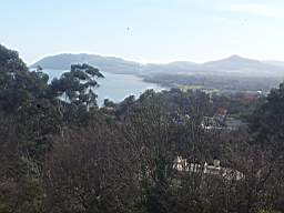 fkillineybeforeinternal 1565.jpg